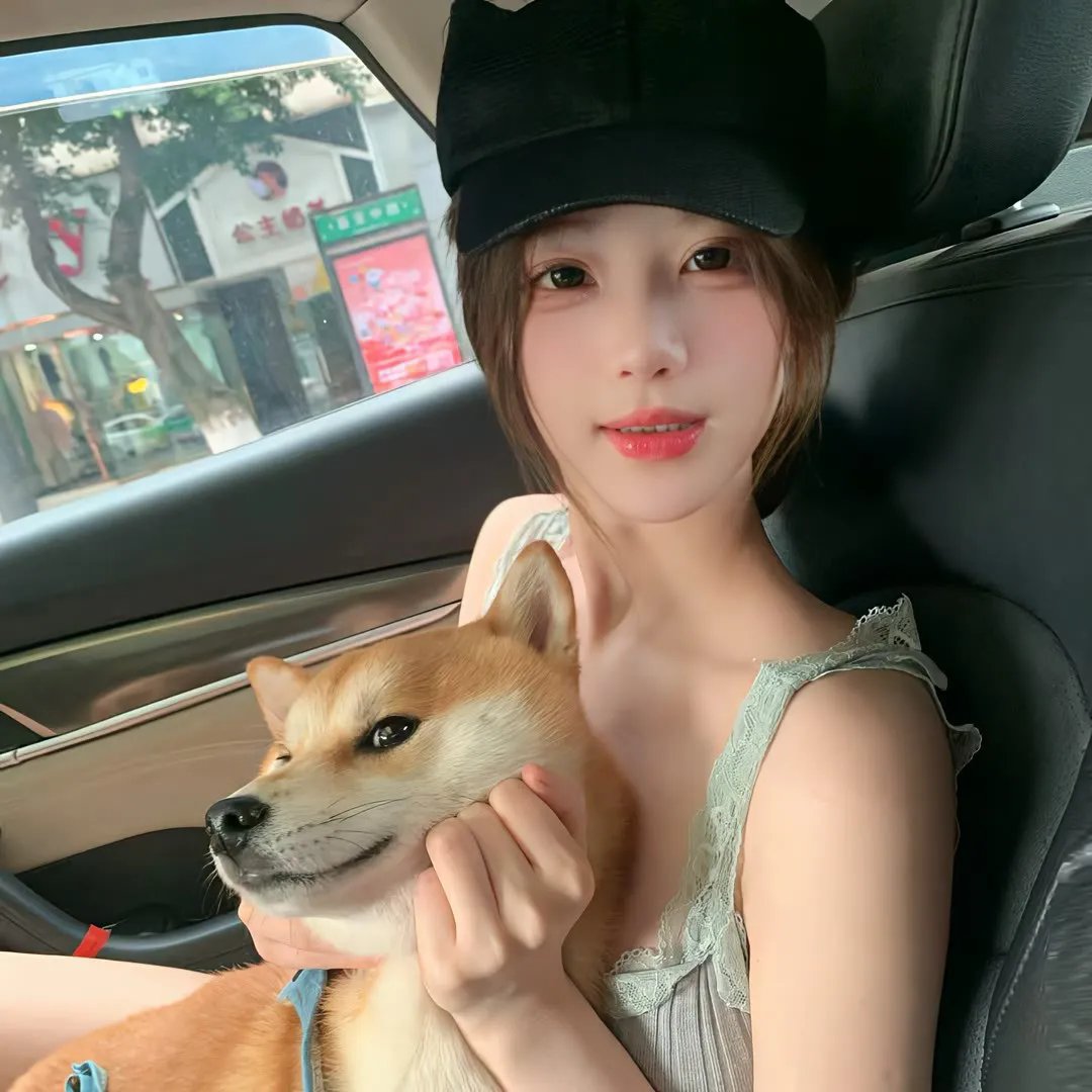 与凤飞